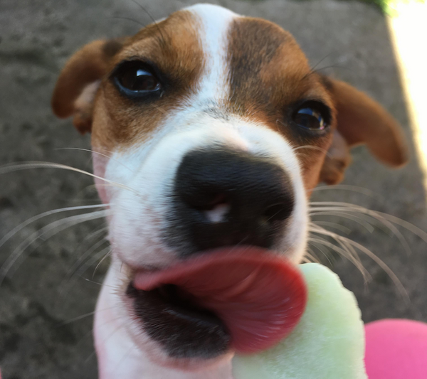 Yes I Did 🙋‍♀️